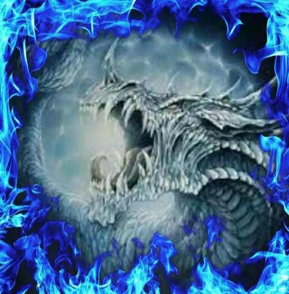 Meet your Posher, Kevin - Picture 1 of 1